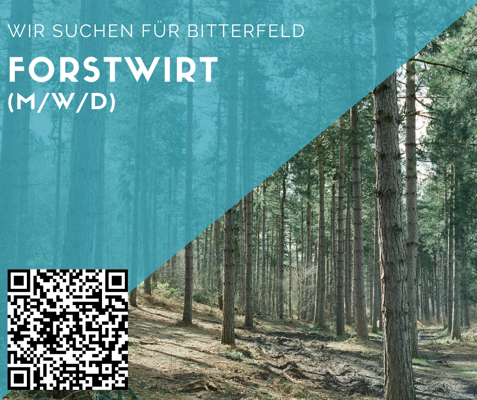 Forstwirt (m/w/d) - Bitterfeld
